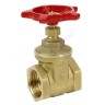 Задвижка клиновая латунь R55 Ду 20 Ру16 ВР маховик Giacomini R55Y004